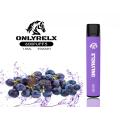 Dernières saveurs de fruits Dernivables Vape Pen 500puffs