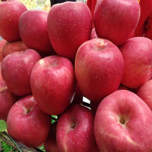 Manzanas frescas de alta calidad