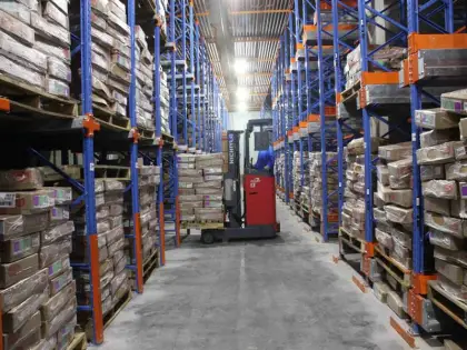 Fresh logistics cold storage