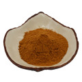 Cosmetics Raw Material ISO HACCP Rhodiola Rosea Extract Powder Manufactory