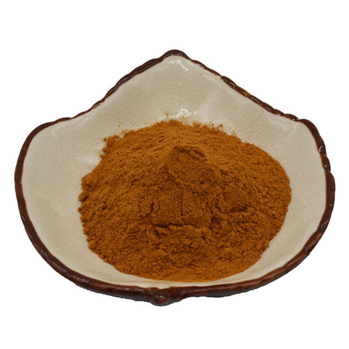 Grains Powder Natural Myrobalan Seed Extract Terminalia Chebula Extract Factory