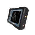 Vet ultrasound machine/veterinary medical care