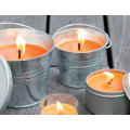 Outdoor Mosquito Insect Bug Repellent Citronella Candles