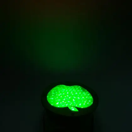 3D Apple Light Gift