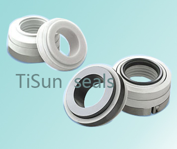 Ts10r Ptfe Wedge Mechanical Seals 