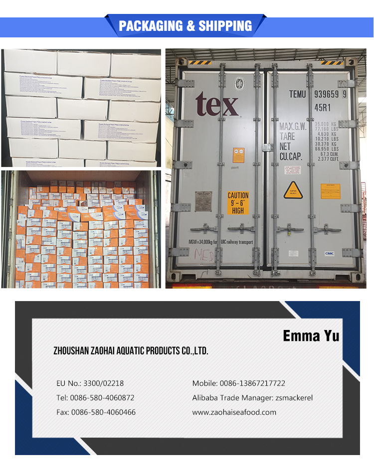 China Export Frozen Fish Frozen Mackerel Flaps Butterfly Mackerel