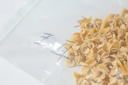 White Fungus Jade Fungus Soup Recipe