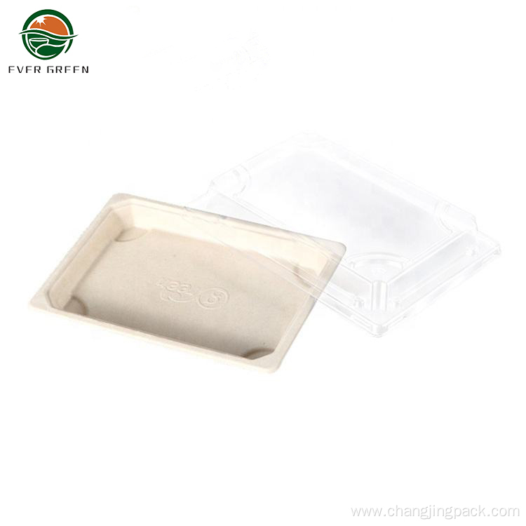 Disposable Small Natural Biodegradable Sushi Paper Pulp Tray