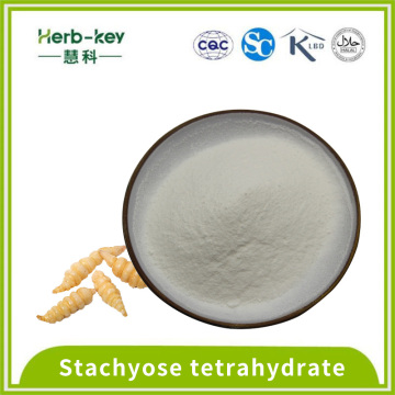 Solides Getränk 70% Stachyose Tetrahydratpulver