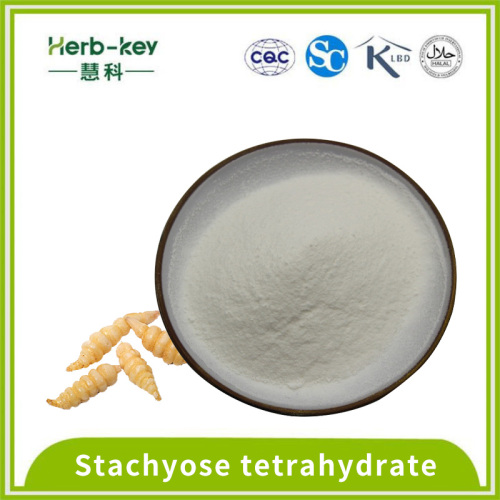 Solid drink 70% Stachyose tetrahydrate powder