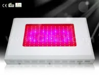 144X3W LED Grow Lights