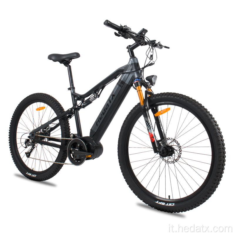 Electric Mountain Bike per sentieri di montagna