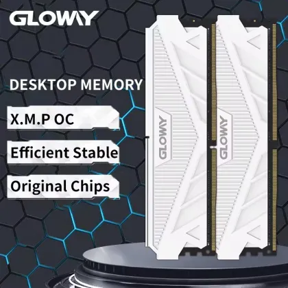 Gloway DDR5 32GB 6400MHz DIMM CL32 XMP Desktop RAM