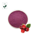 Freeze-dried Fruit Powder of Cranberry Fruit Juice Powder