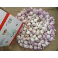 High Quality Normal White Garlic 2020