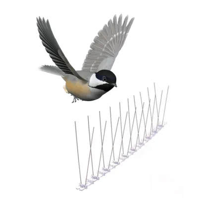 New natural plastic bird spikes