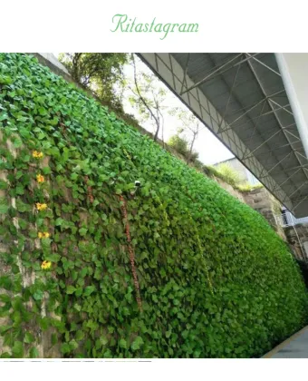 Artificial Ivy Greenery Garland - Faux Foliage Wall Decor