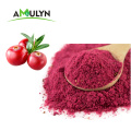 Food supplement bulk Cranberry fruit juice extract powder