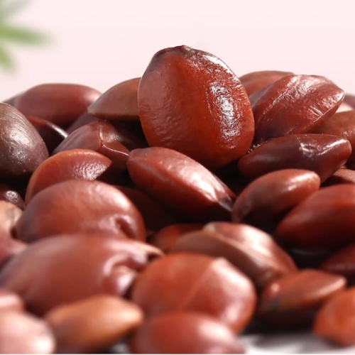 Spine Date Seed for Calming Herbal Use