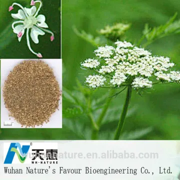 Botanical fungicide Osthole 1%DP for agriculture farming