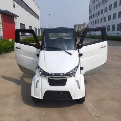 4 Wheels 2 Seats Electric Racing Car for Teenagers