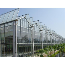Horticulture à fleur de concombre de tomate Greenhouse en verre Venlo