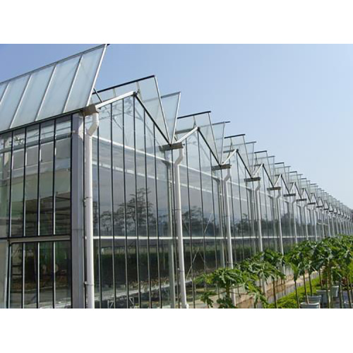 Horticulture à fleur de concombre de tomate Greenhouse en verre Venlo