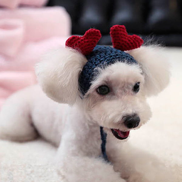 Reindeer Dog Hat