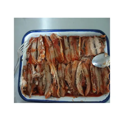sardine tin can canned sardine in club can,canned pilchards,frozen sardine fish