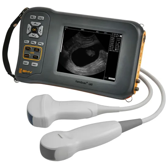 Equine Ultrasound Machine for Sale for Equine Goat Pregnancy Test (L60)
