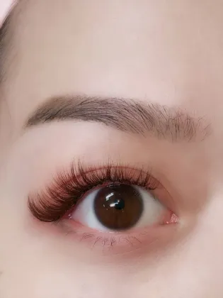 Russian Volume Brown Eyelash Extensions