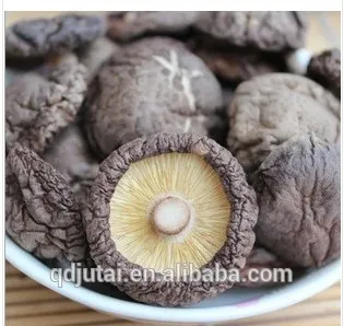 dried shiitake mushroom/dried foods factory price