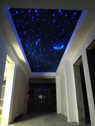 Hot Sales Customized LED Fiber Optic Lights Sky Ceiling Tiles Glowing Stars