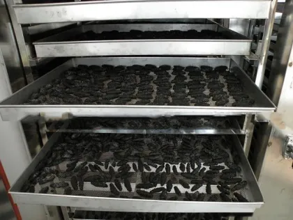Crude Drug Drying Oven