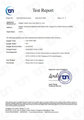 Factory Price Manual Transmission Cable for FIAT LANCIA Punto Van Y10 89-03