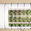 Double Layered Industrial Agricultural Warehouse Building