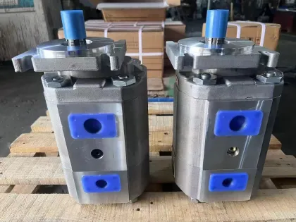 CBKP Classic Series Gear Pump