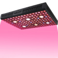 /msite/products/detail/productid/58733542/id/684610.html
