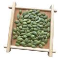 Hot Sale Pumpkin Seeds Kernels Factory Supply