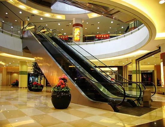 Energy Saving Commercial Building Escalator