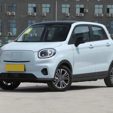 2024 LeapMotor T03 Pure Electric 310km 지구력 편안한 판