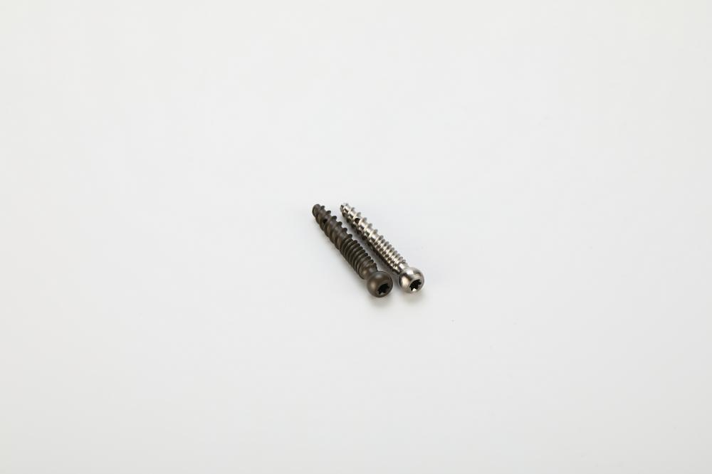 Cement-Augmented Pedicle Screws