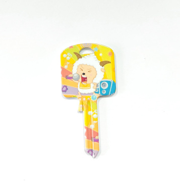 American Market Wholesale Cartoon Printing Design Color Blank Keys