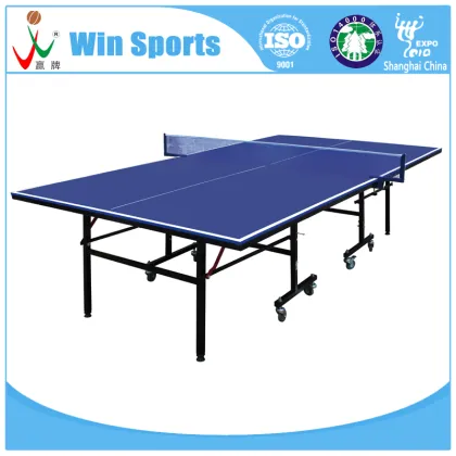 DHS Table Tennis Table