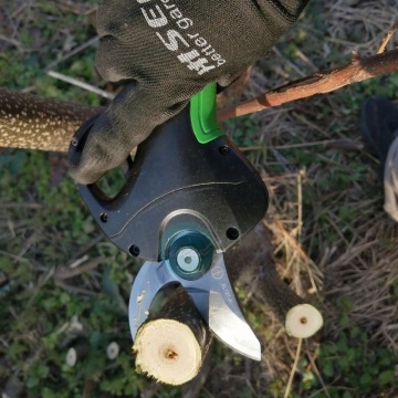 Electric Pruning Shears: Professional Garden Tool for Vineyards and Orchards