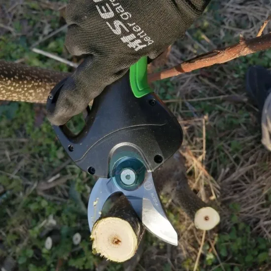 Electric Pruning Shears: Professional Garden Tool for Vineyards and Orchards