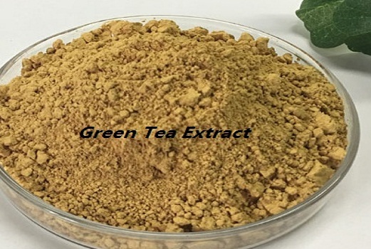 Green Tea Extract2