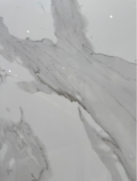 Top-grade fish maw white