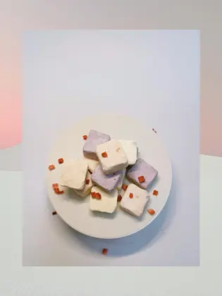 Blueberry Flavored Probiotic Yogurt Block