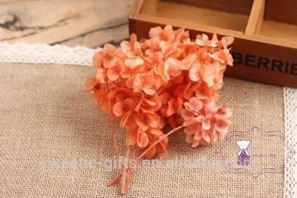 preserved butterfly flower